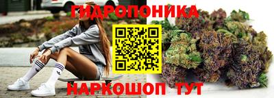 a pvp Жуковский