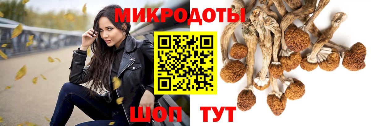 Псилоцибиновые грибы прущие грибы Мыски